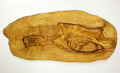 RUSTIQUE�ѷ� PLC_RSTQ18